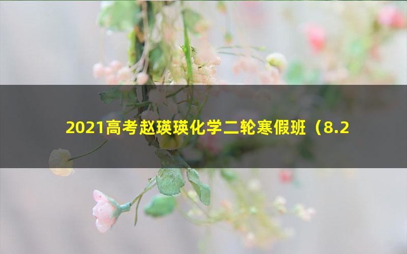 2021高考赵瑛瑛化学二轮寒假班（8.27G高清视频）