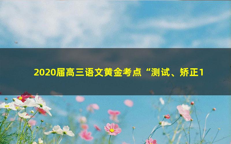 2020届高三语文黄金考点“测试、矫正1+1”押题卷 