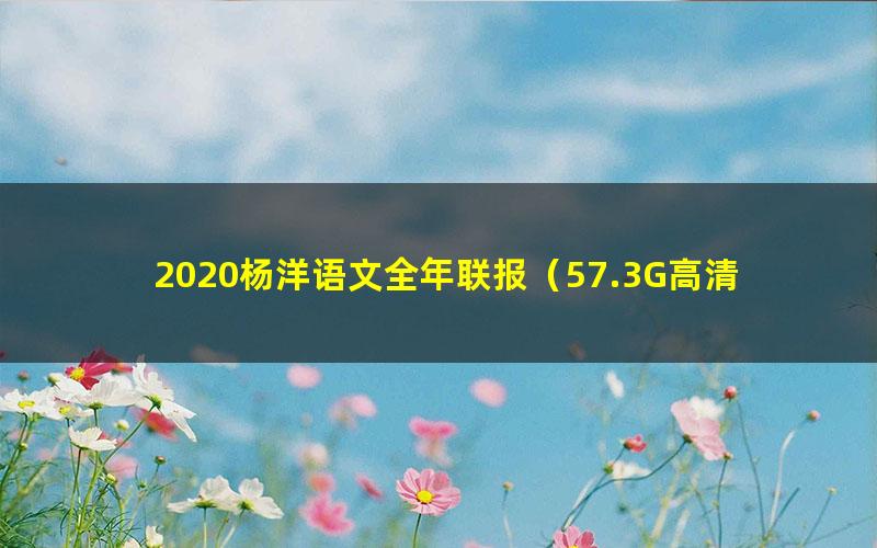 2020杨洋语文全年联报（57.3G高清视频有水印）