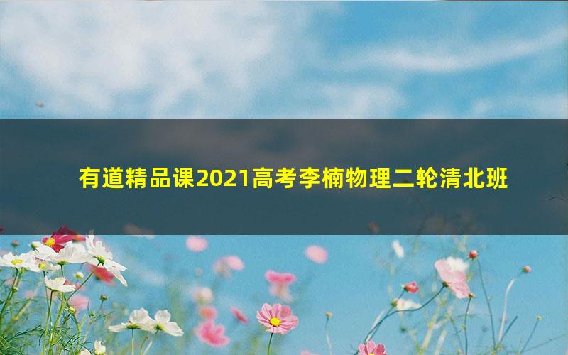 有道精品课2021高考李楠物理二轮清北班（13.7G高清视频）