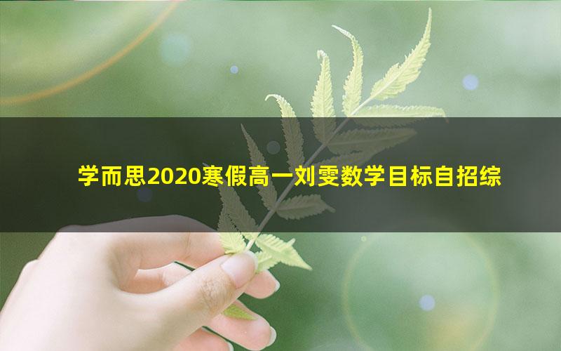 学而思2020寒假高一刘雯数学目标自招综评班直播（完结）（2.24G高清视频）