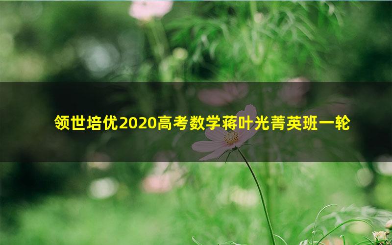 领世培优2020高考数学蒋叶光菁英班一轮下 