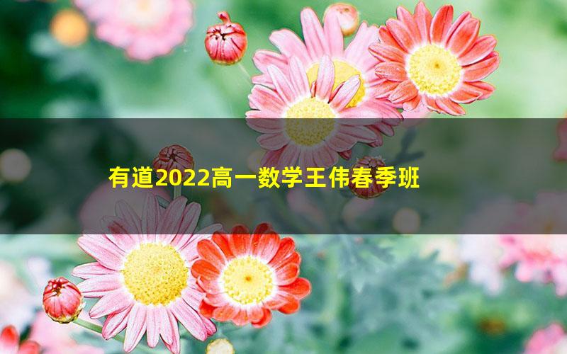 有道2022高一数学王伟春季班 