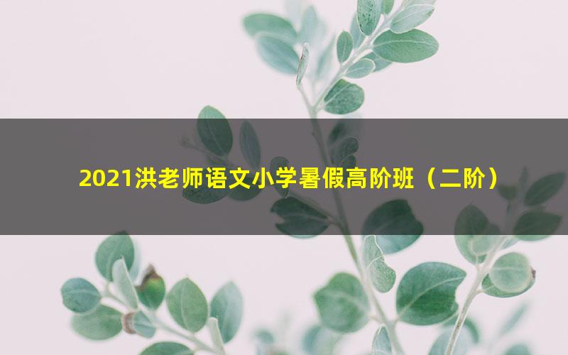 2021洪老师语文小学暑假高阶班（二阶）（完结）