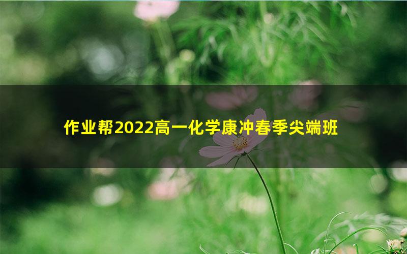 作业帮2022高一化学康冲春季尖端班 