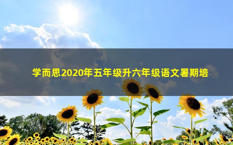 学而思2020年五年级升六年级语文暑期培优班（勤思在线-薛春燕）（高清视频）