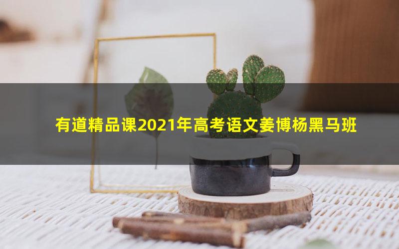 有道精品课2021年高考语文姜博杨黑马班（完结）（8.53G高清视频）