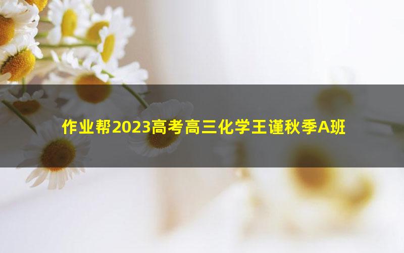 作业帮2023高考高三化学王谨秋季A班 