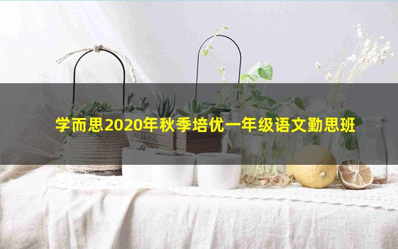 学而思2020年秋季培优一年级语文勤思班潘晓琳（完结）（13.2G高清视频）