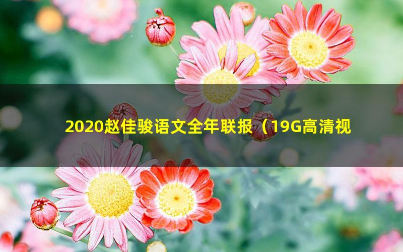 2020赵佳骏语文全年联报（19G高清视频有水印）