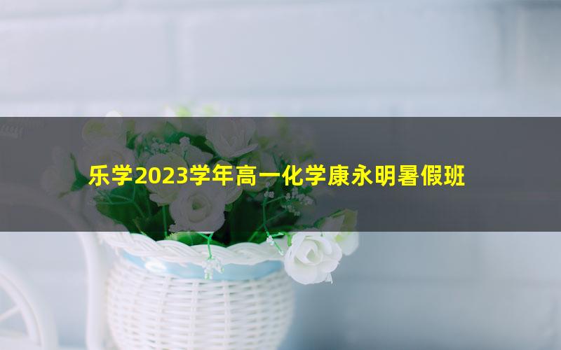 乐学2023学年高一化学康永明暑假班 