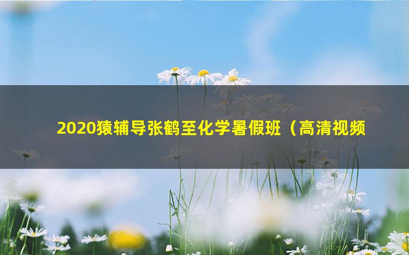 2020猿辅导张鹤至化学暑假班（高清视频）