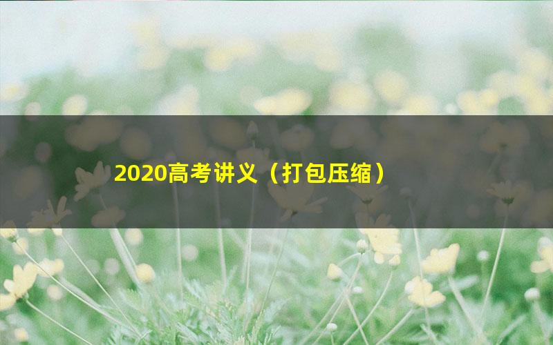 2020高考讲义（打包压缩）