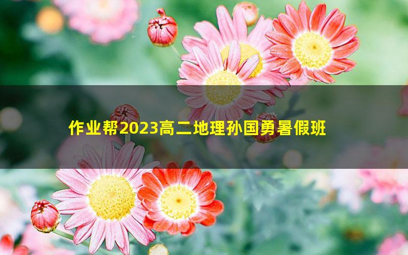 作业帮2023高二地理孙国勇暑假班 