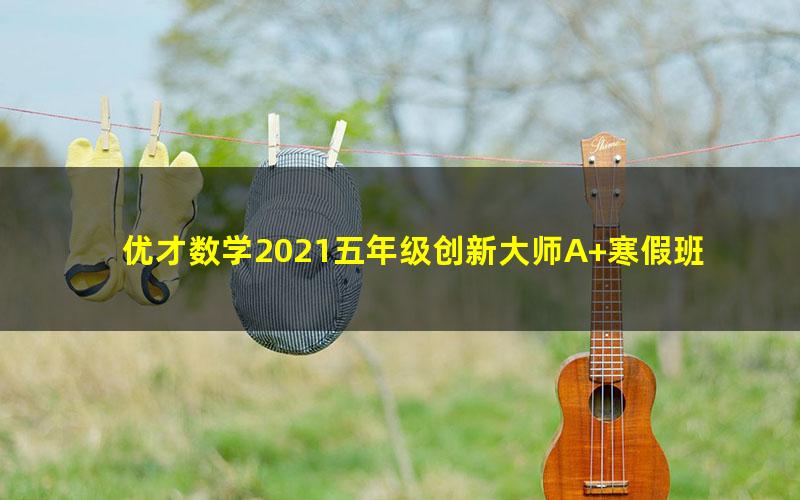 优才数学2021五年级创新大师A+寒假班（完结）