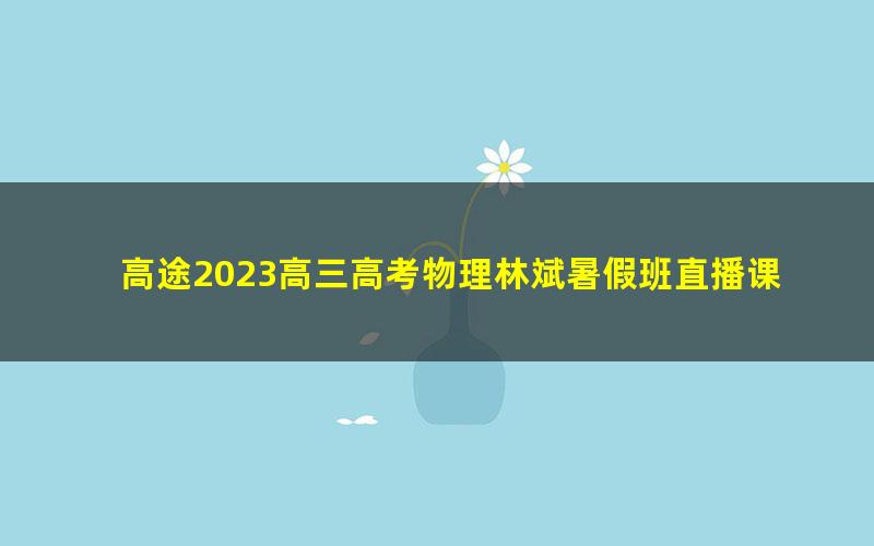 高途2023高三高考物理林斌暑假班直播课（规划服务）