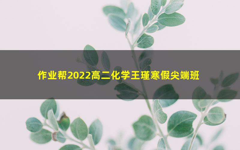 作业帮2022高二化学王瑾寒假尖端班 