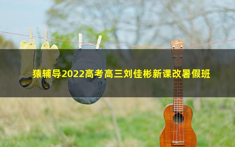 猿辅导2022高考高三刘佳彬新课改暑假班（完结）（18.8G高清视频）