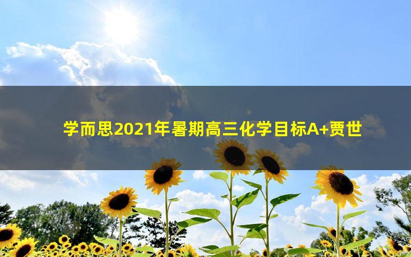 学而思2021年暑期高三化学目标A+贾世增（完结）（2022学年11.9G高清视频）