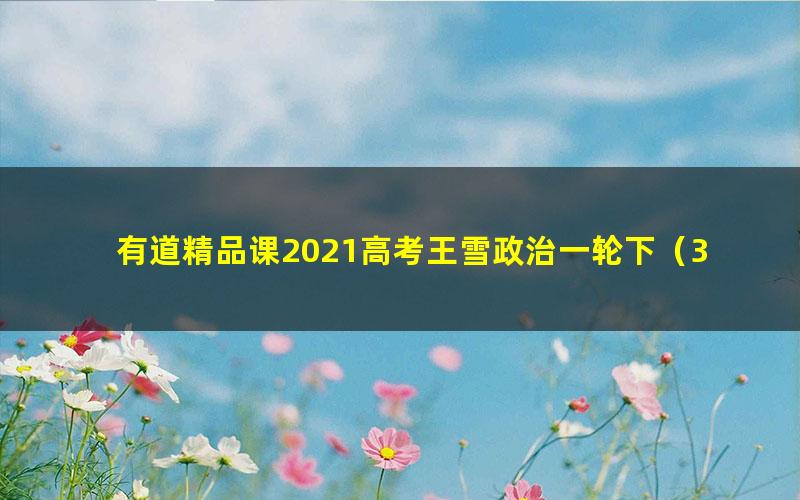 有道精品课2021高考王雪政治一轮下（3.62G高清视频）