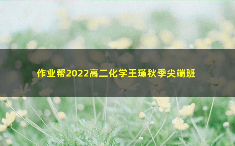 作业帮2022高二化学王瑾秋季尖端班 