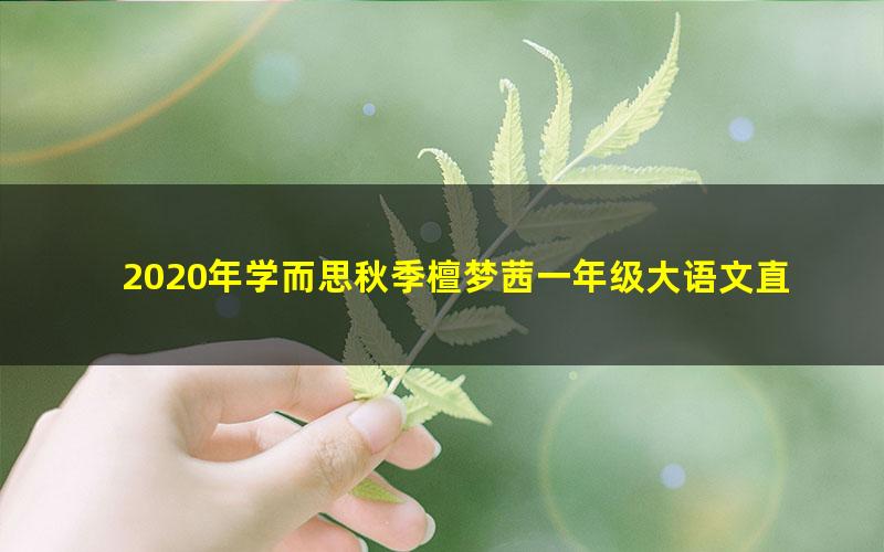 2020年学而思秋季檀梦茜一年级大语文直播班（高清视频）