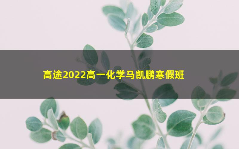 高途2022高一化学马凯鹏寒假班 