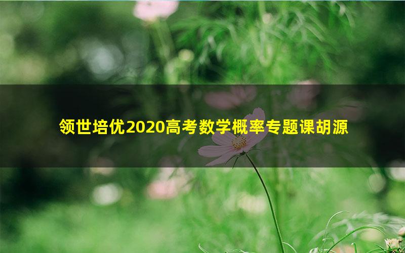 领世培优2020高考数学概率专题课胡源 