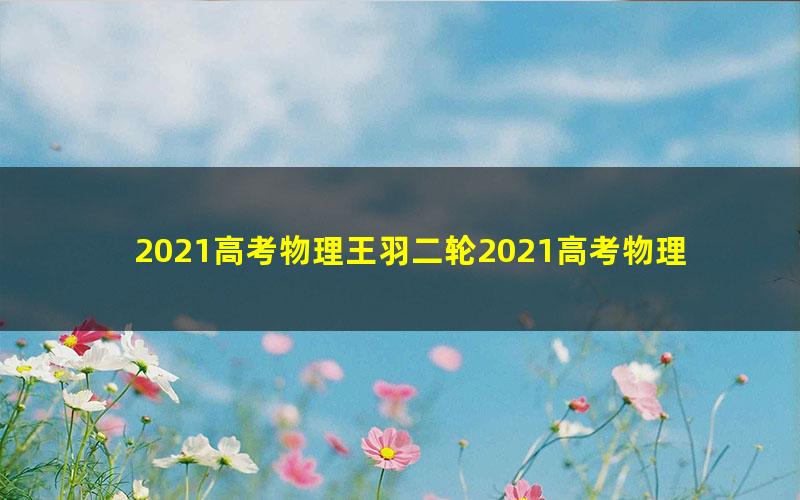 2021高考物理王羽二轮2021高考物理压轴题难题班直播课（3.59G高清视频）