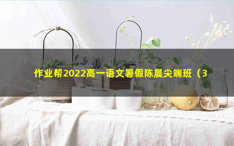 作业帮2022高一语文暑假陈晨尖端班（3.26G高清视频）