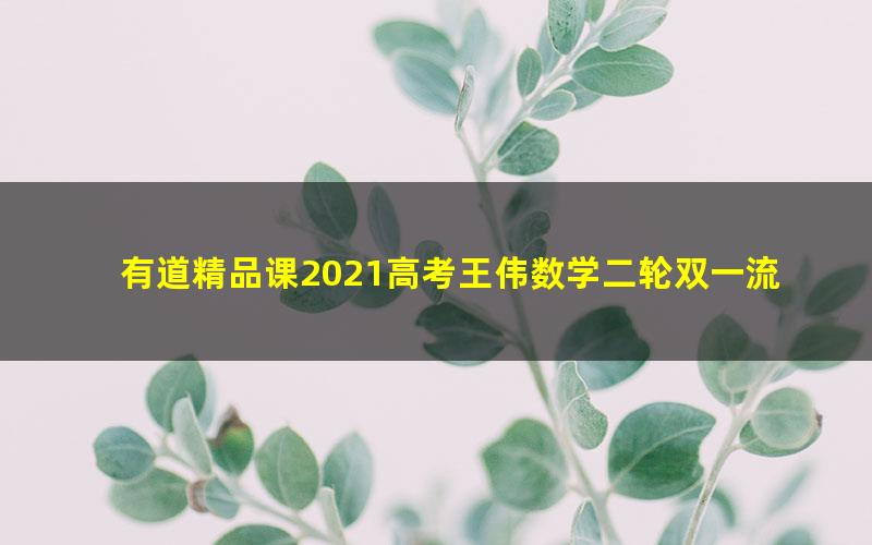 有道精品课2021高考王伟数学二轮双一流寒假班（11.8G高清视频）