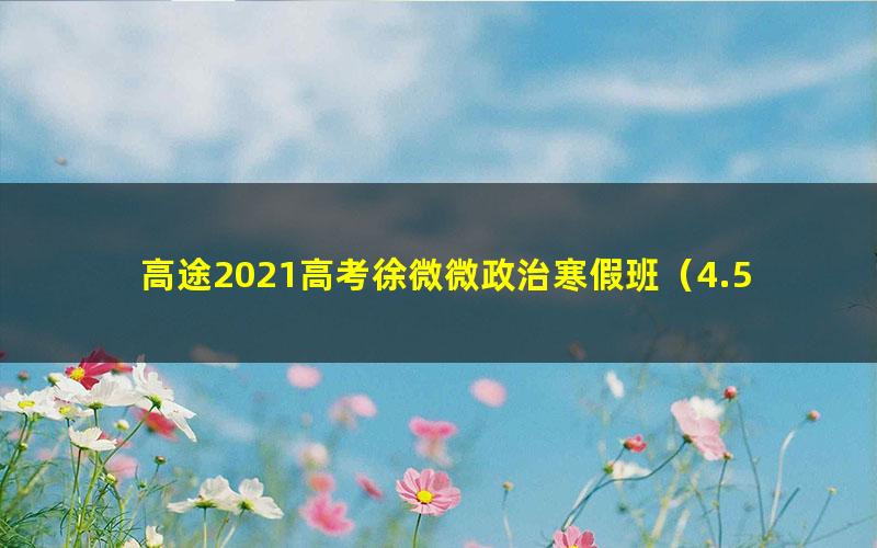 高途2021高考徐微微政治寒假班（4.53G高清视频）