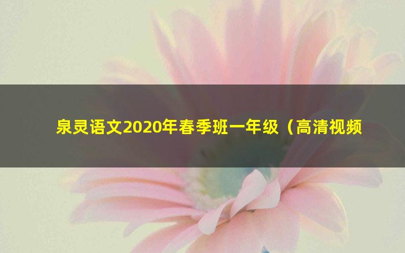 泉灵语文2020年春季班一年级（高清视频）