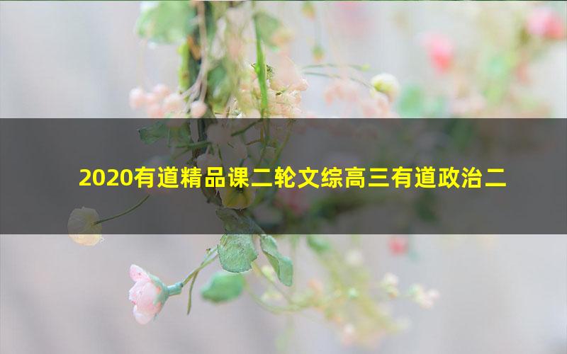 2020有道精品课二轮文综高三有道政治二轮（高清视频）