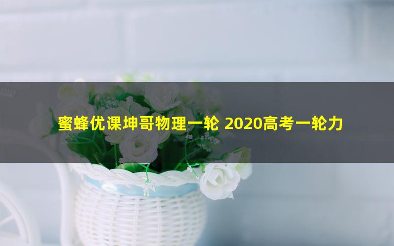 蜜蜂优课坤哥物理一轮 2020高考一轮力学电学实验专题（15G高清视频）