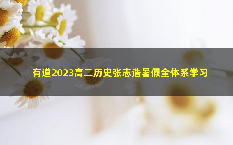 有道2023高二历史张志浩暑假全体系学习卡（规划服务）