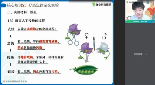 作业帮2021春季高一邓康尧生物尖端班（3.82G高清视频）