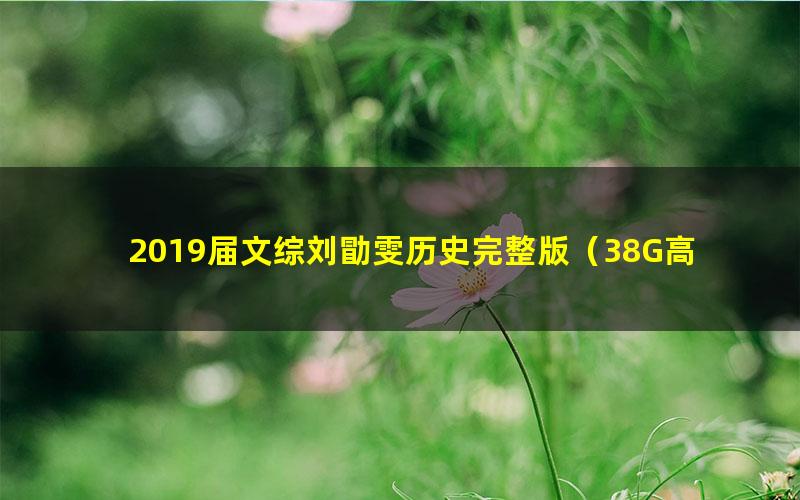 2019届文综刘勖雯历史完整版（38G高清视频）