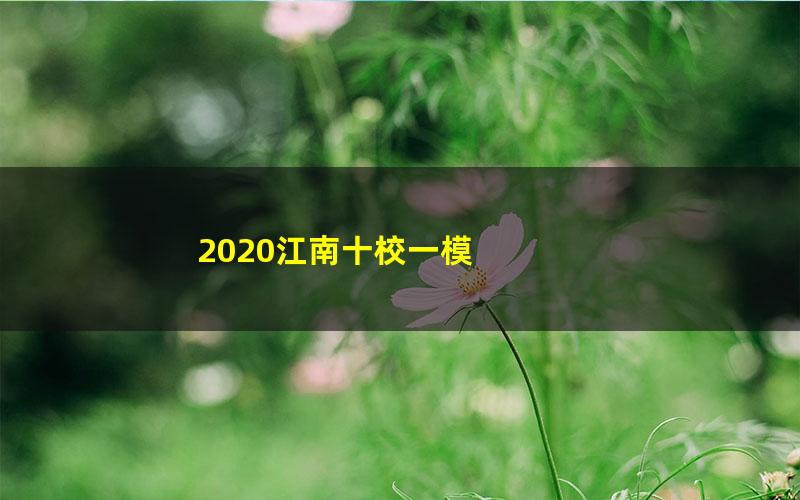 2020江南十校一模 