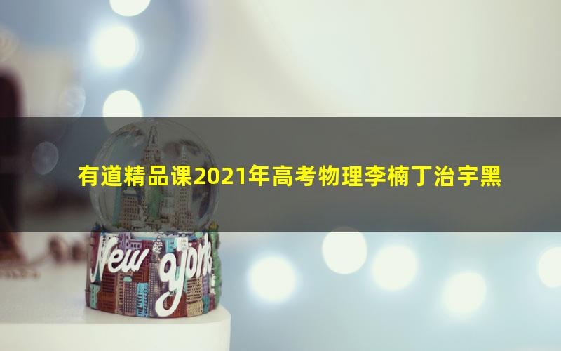 有道精品课2021年高考物理李楠丁治宇黑马班（完结）（7.89G高清视频）