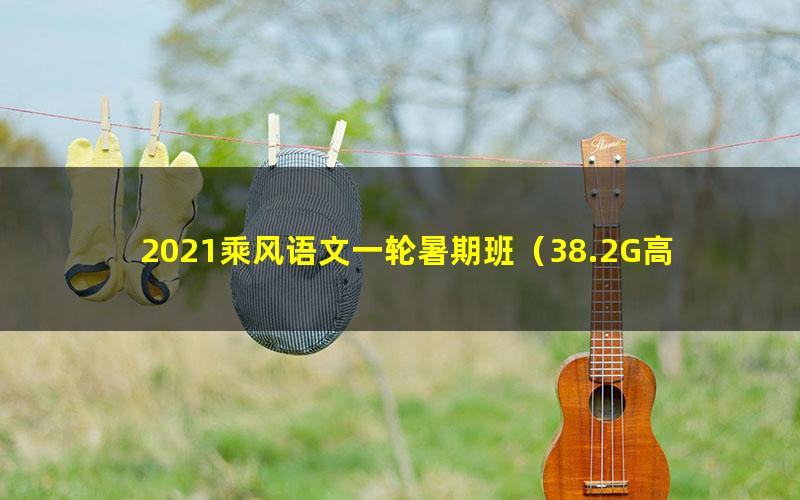 2021乘风语文一轮暑期班（38.2G高清视频）