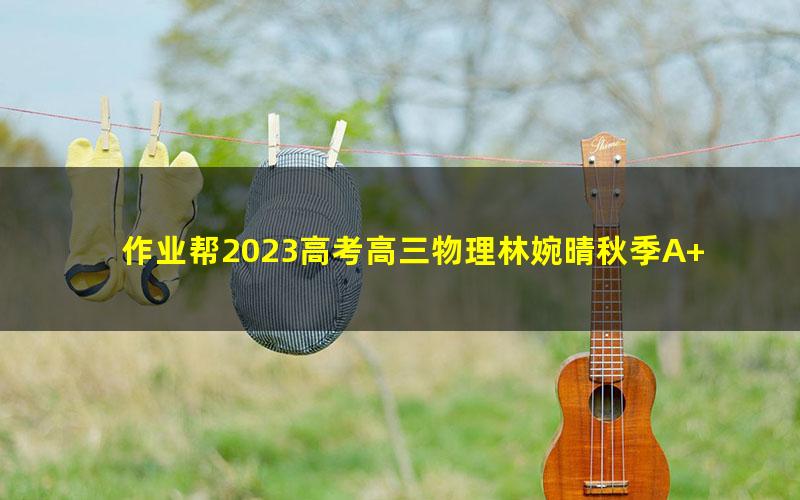 作业帮2023高考高三物理林婉晴秋季A+班 