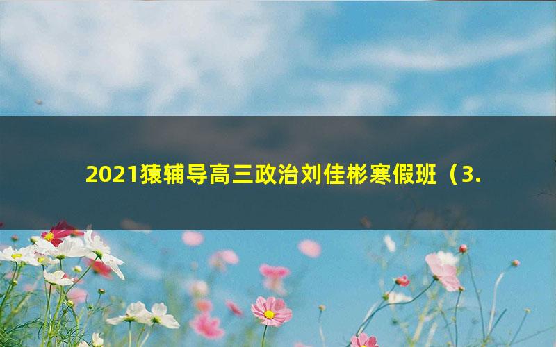 2021猿辅导高三政治刘佳彬寒假班（3.97G高清视频）