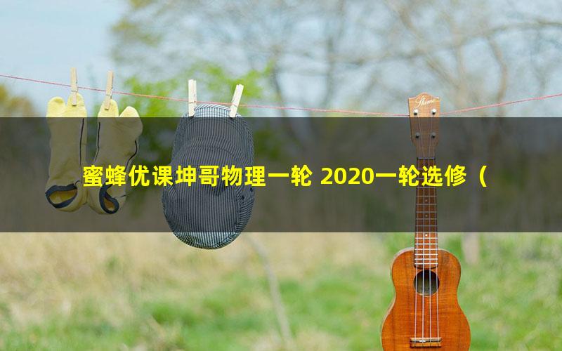 蜜蜂优课坤哥物理一轮 2020一轮选修（3-3 3-5系统课程）热学+近代物理（9G高清视频）