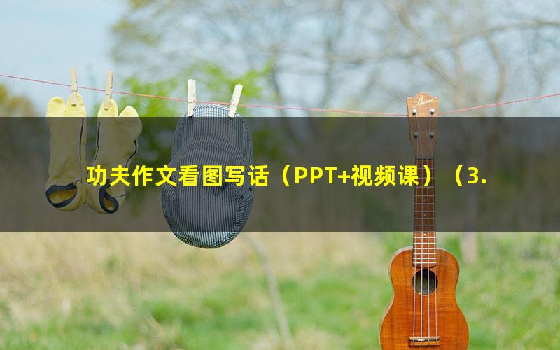 功夫作文看图写话（PPT+视频课）（3.00G高清视频）