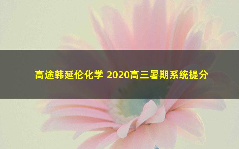 高途韩延伦化学 2020高三暑期系统提分班（超清MP4）