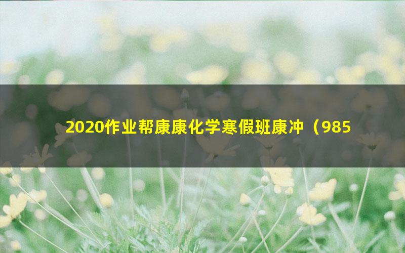 2020作业帮康康化学寒假班康冲（985体系班）（高清视频）