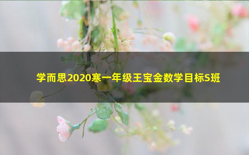 学而思2020寒一年级王宝金数学目标S班（完结）（高清视频）