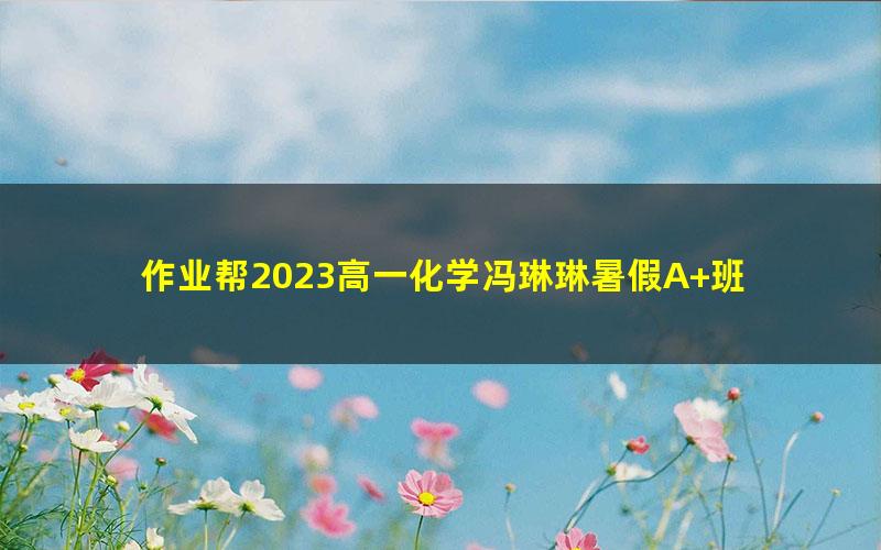 作业帮2023高一化学冯琳琳暑假A+班 