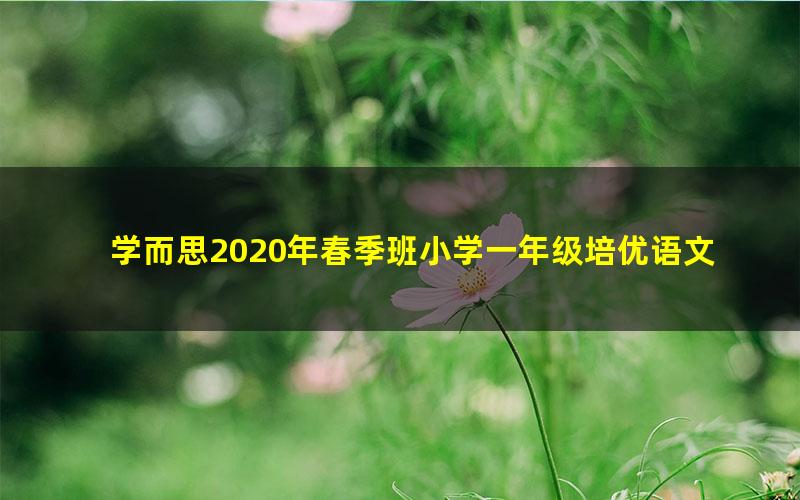 学而思2020年春季班小学一年级培优语文（素养勤思在线-翟振雪）（高清视频）